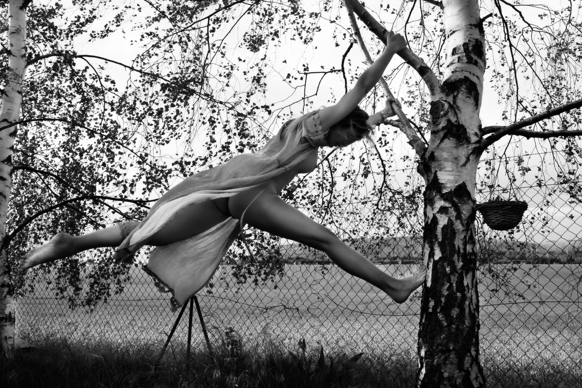 Nude figure stretched horizontally across a tree beside a chain-link fence.