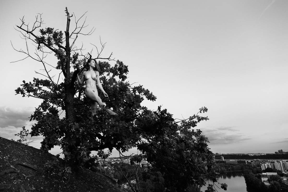 Small figure high in a bare tree against an open sky.