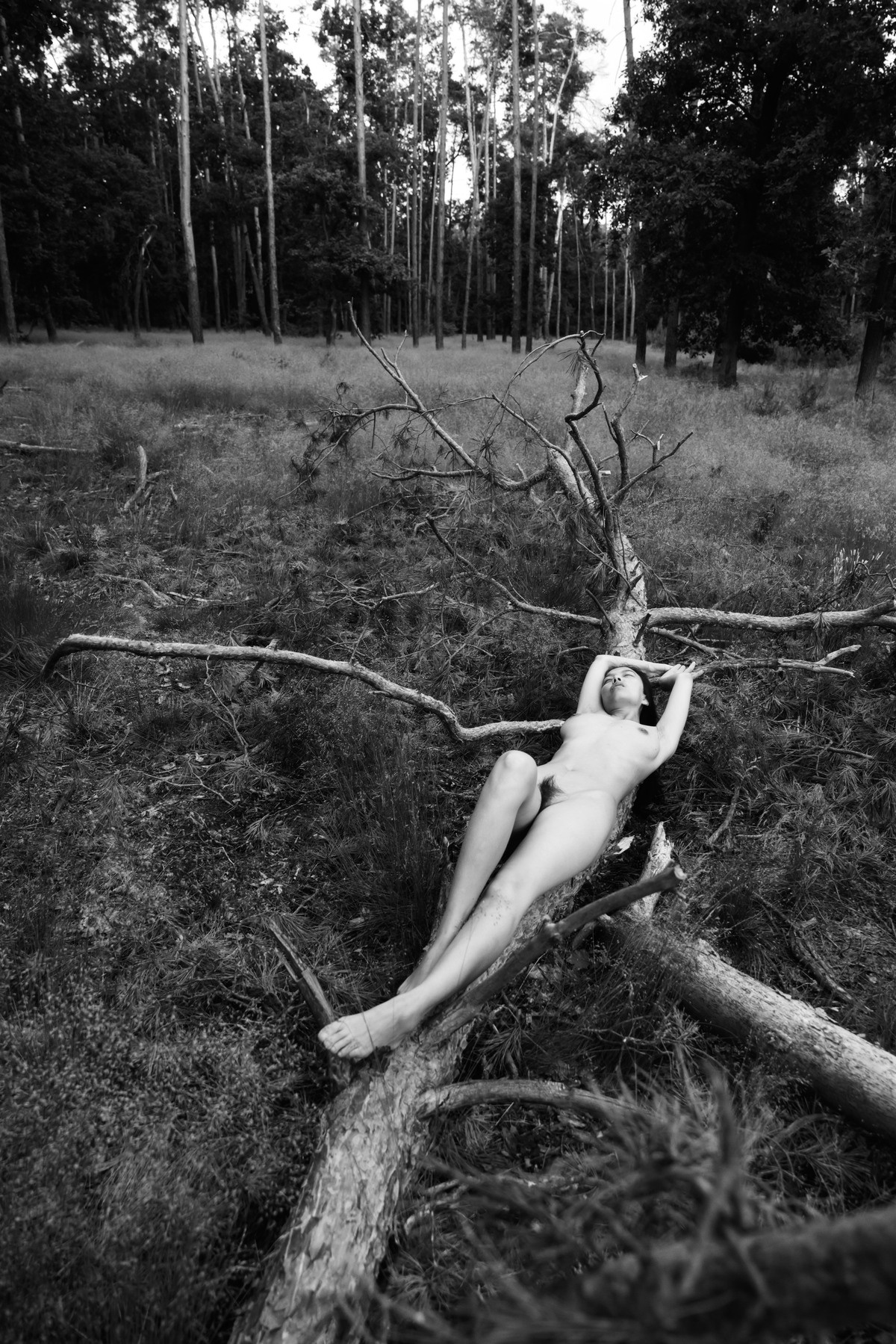 Nude figure reclining on a fallen tree in a forest clearing.